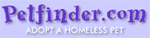 Madison-Greene Humane Society 